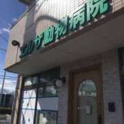 ヒメ日記 2025/01/09 19:56 投稿 美咲　エルザ エンジェルコースト