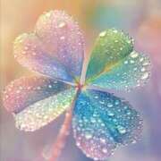 ヒメ日記 2025/01/24 12:07 投稿 美咲　エルザ エンジェルコースト