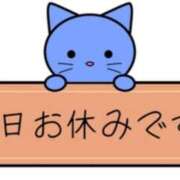 ヒメ日記 2025/02/10 12:36 投稿 美咲　エルザ エンジェルコースト