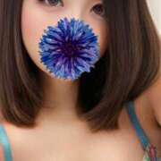 ヒメ日記 2025/04/20 17:27 投稿 美咲　エルザ エンジェルコースト