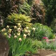 ヒメ日記 2025/04/26 18:36 投稿 美咲　エルザ エンジェルコースト