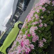 ヒメ日記 2025/04/27 09:16 投稿 美咲　エルザ エンジェルコースト