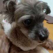 ヒメ日記 2025/04/27 11:32 投稿 美咲　エルザ エンジェルコースト