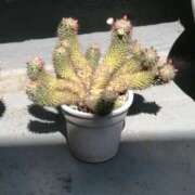 ヒメ日記 2025/04/27 16:15 投稿 美咲　エルザ エンジェルコースト