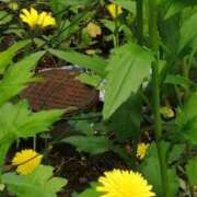 ヒメ日記 2025/05/12 20:03 投稿 美咲　エルザ エンジェルコースト