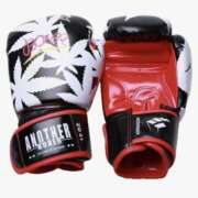 ヒメ日記 2025/11/20 20:53 投稿 美咲　エルザ エンジェルコースト