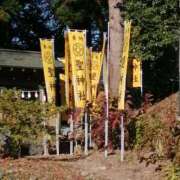 ヒメ日記 2025/11/22 10:11 投稿 美咲　エルザ エンジェルコースト