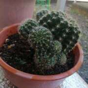 ヒメ日記 2026/01/06 12:08 投稿 美咲　エルザ エンジェルコースト