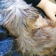 ヒメ日記 2026/01/11 20:38 投稿 美咲　エルザ エンジェルコースト