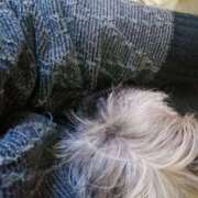 ヒメ日記 2026/01/12 13:03 投稿 美咲　エルザ エンジェルコースト