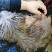 美咲　エルザ おはようございます。 エンジェルコースト