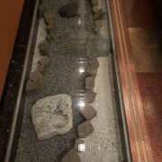 ヒメ日記 2026/02/08 02:19 投稿 美咲　エルザ エンジェルコースト