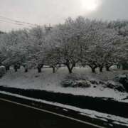 ヒメ日記 2026/02/09 08:47 投稿 美咲　エルザ エンジェルコースト