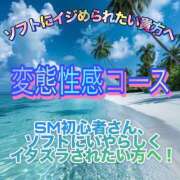 ヒメ日記 2026/08/07 12:49 投稿 美咲　エルザ エンジェルコースト