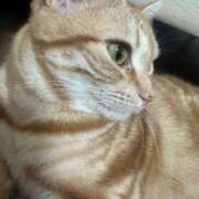 ヒメ日記 2024/12/18 17:52 投稿 なう 素人系イメージSOAP彼女感大宮館