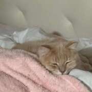 ヒメ日記 2024/12/19 23:46 投稿 なう 素人系イメージSOAP彼女感大宮館