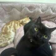 ヒメ日記 2024/12/21 00:07 投稿 なう 素人系イメージSOAP彼女感大宮館