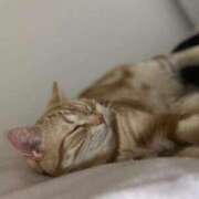 ヒメ日記 2025/02/01 17:44 投稿 なう 素人系イメージSOAP彼女感大宮館