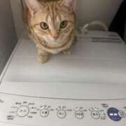 ヒメ日記 2025/03/05 23:34 投稿 なう 素人系イメージSOAP彼女感大宮館