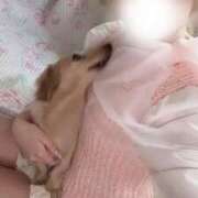 ヒメ日記 2025/03/27 17:00 投稿 なう 素人系イメージSOAP彼女感大宮館