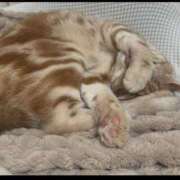 ヒメ日記 2025/04/04 23:45 投稿 なう 素人系イメージSOAP彼女感大宮館