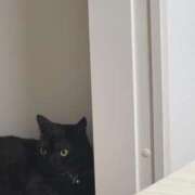 ヒメ日記 2025/04/11 04:26 投稿 なう 素人系イメージSOAP彼女感大宮館