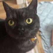 ヒメ日記 2025/04/12 01:47 投稿 なう 素人系イメージSOAP彼女感大宮館