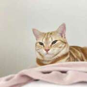 ヒメ日記 2025/04/13 05:08 投稿 なう 素人系イメージSOAP彼女感大宮館