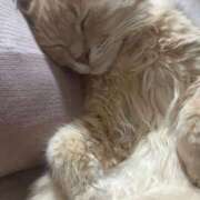 ヒメ日記 2025/04/20 17:30 投稿 なう 素人系イメージSOAP彼女感大宮館