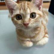 ヒメ日記 2025/05/06 00:03 投稿 なう 素人系イメージSOAP彼女感大宮館