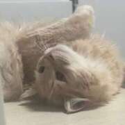 ヒメ日記 2025/05/09 01:42 投稿 なう 素人系イメージSOAP彼女感大宮館