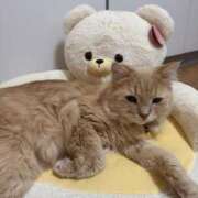 ヒメ日記 2025/05/09 23:45 投稿 なう 素人系イメージSOAP彼女感大宮館