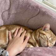 ヒメ日記 2025/05/19 17:57 投稿 なう 素人系イメージSOAP彼女感大宮館