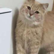 ヒメ日記 2025/05/22 23:46 投稿 なう 素人系イメージSOAP彼女感大宮館