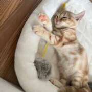 ヒメ日記 2025/05/24 01:26 投稿 なう 素人系イメージSOAP彼女感大宮館