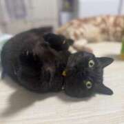 ヒメ日記 2025/05/29 23:05 投稿 なう 素人系イメージSOAP彼女感大宮館