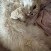 ヒメ日記 2025/05/31 01:07 投稿 なう 素人系イメージSOAP彼女感大宮館