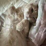 ヒメ日記 2025/06/07 00:10 投稿 なう 素人系イメージSOAP彼女感大宮館