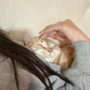 ヒメ日記 2025/06/10 01:04 投稿 なう 素人系イメージSOAP彼女感大宮館