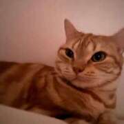 ヒメ日記 2025/06/15 02:16 投稿 なう 素人系イメージSOAP彼女感大宮館