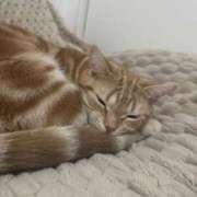 ヒメ日記 2025/06/20 00:45 投稿 なう 素人系イメージSOAP彼女感大宮館