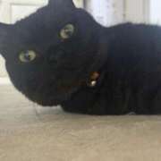 ヒメ日記 2025/06/22 00:07 投稿 なう 素人系イメージSOAP彼女感大宮館