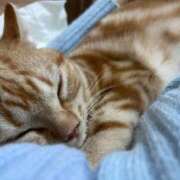 ヒメ日記 2025/06/24 15:49 投稿 なう 素人系イメージSOAP彼女感大宮館