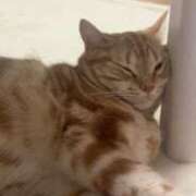 ヒメ日記 2025/06/29 03:33 投稿 なう 素人系イメージSOAP彼女感大宮館