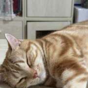 ヒメ日記 2025/07/10 03:18 投稿 なう 素人系イメージSOAP彼女感大宮館