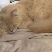 ヒメ日記 2025/07/13 21:14 投稿 なう 素人系イメージSOAP彼女感大宮館