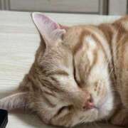 ヒメ日記 2025/07/24 08:51 投稿 なう 素人系イメージSOAP彼女感大宮館