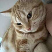 ヒメ日記 2025/08/05 18:29 投稿 なう 素人系イメージSOAP彼女感大宮館