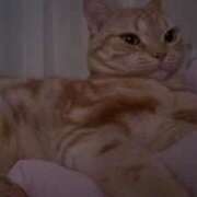 ヒメ日記 2025/08/06 08:34 投稿 なう 素人系イメージSOAP彼女感大宮館