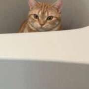 ヒメ日記 2025/08/10 04:20 投稿 なう 素人系イメージSOAP彼女感大宮館